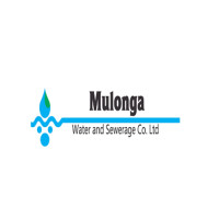 Mulonga log